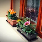Guest house Zempleni Vendeghaz Erdobenye